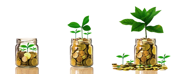 Photo of plants growing in jars of coins.