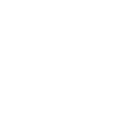 Official Launch Loyalty rocket.